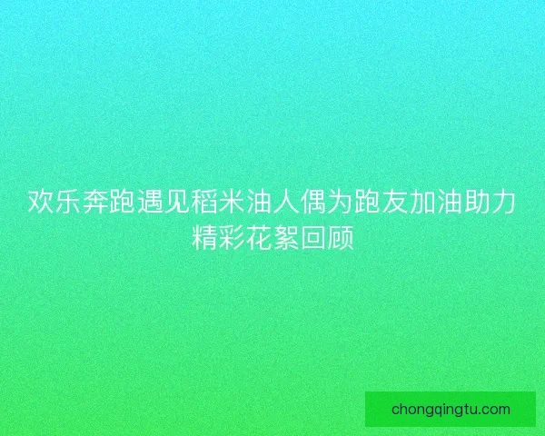 欢乐奔跑遇见稻米油人偶为跑友加油助力精彩花絮回顾
