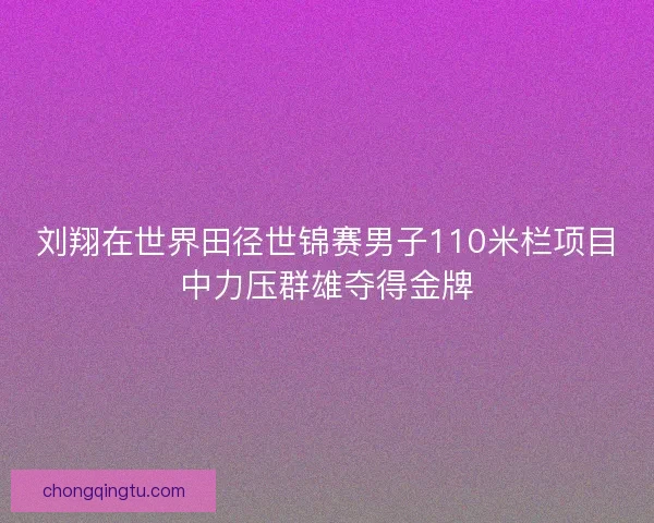刘翔在世界田径世锦赛男子110米栏项目中力压群雄夺得金牌