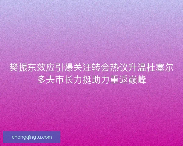 樊振东效应引爆关注转会热议升温杜塞尔多夫市长力挺助力重返巅峰