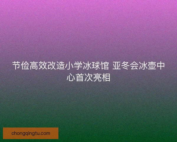 节俭高效改造小学冰球馆 亚冬会冰壶中心首次亮相