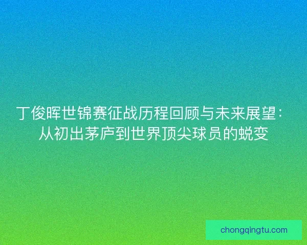 丁俊晖世锦赛征战历程回顾与未来展望：从初出茅庐到世界顶尖球员的蜕变