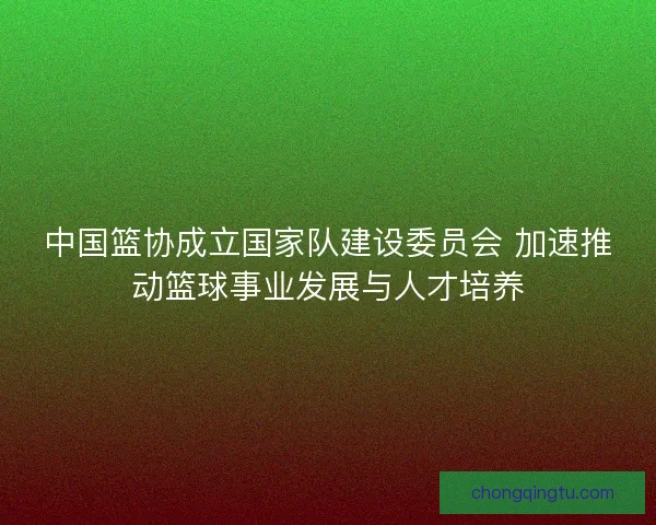 中国篮协成立国家队建设委员会 加速推动篮球事业发展与人才培养